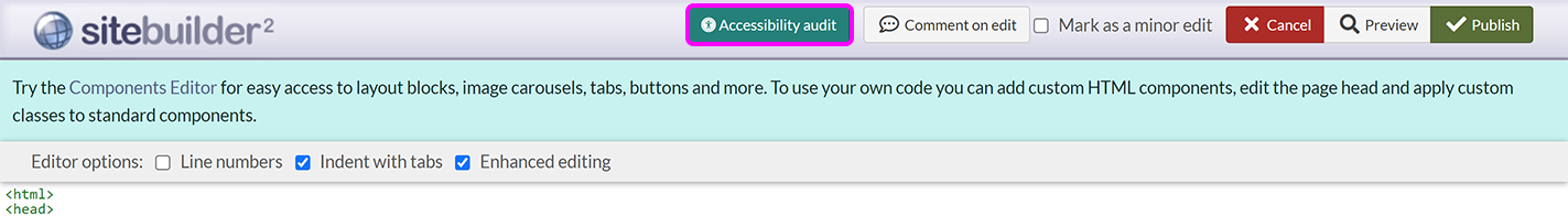 The raw editor toolbar, with the 'Page audit' button highlighted