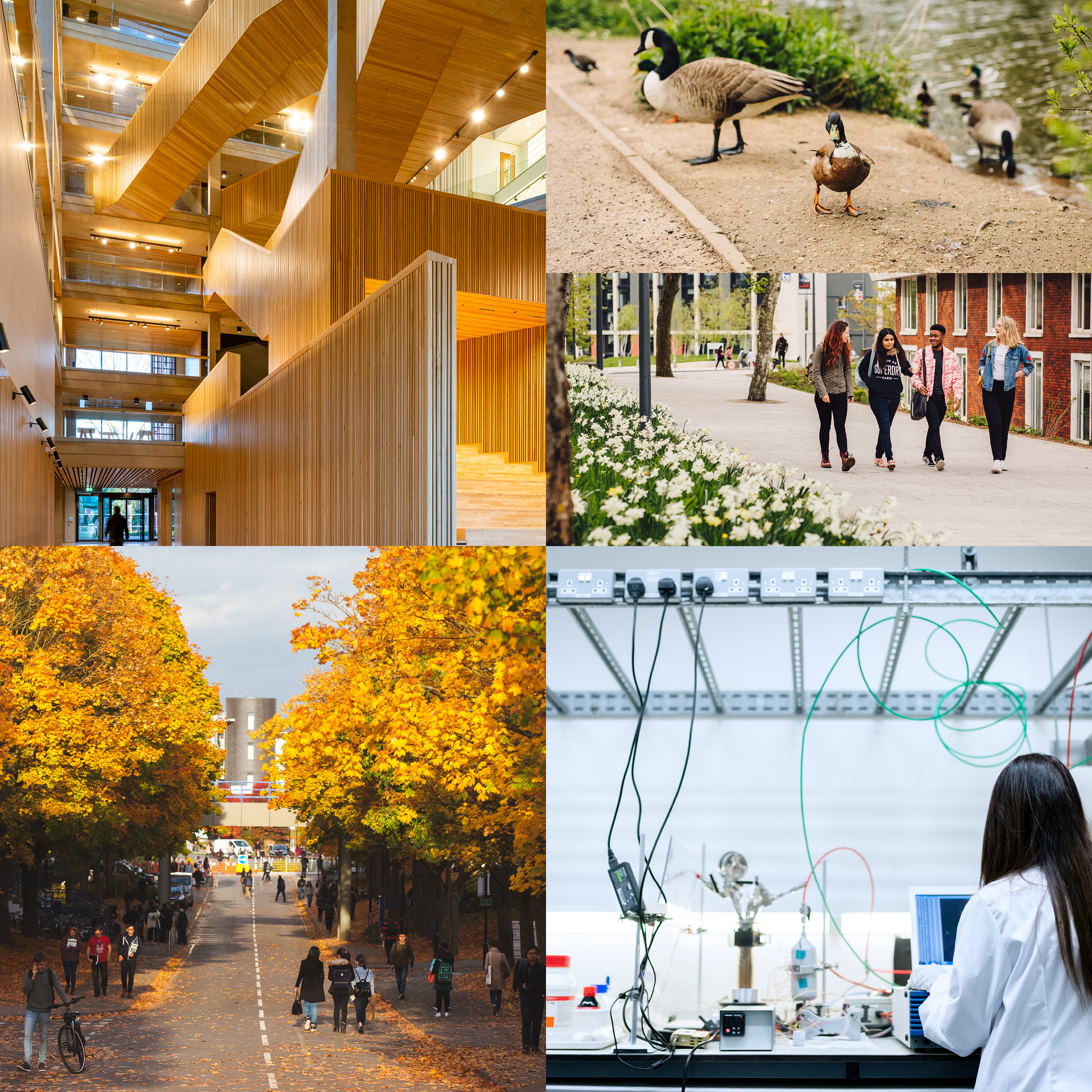 Five examples of environment photography showcasing our campus