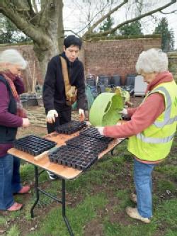 Three people stand around a table, filling some seedling trays