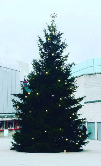 Pic of the Arts Centre Christmas Tree