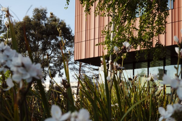 Exterior of Faculty of Arts building with grass and blue sky
