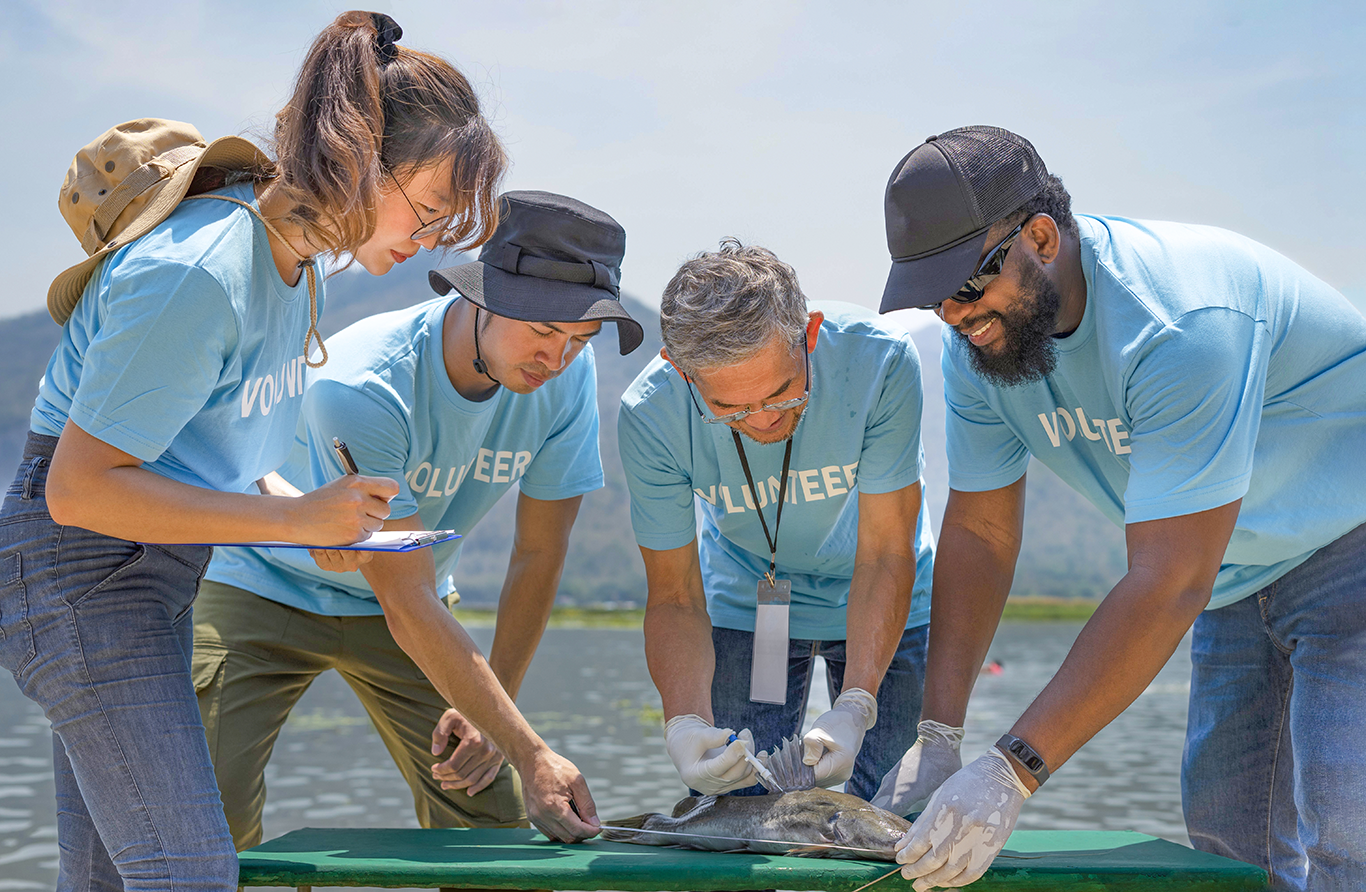 A group of people wearing volunteer tshirts at the coast, working with sealife.