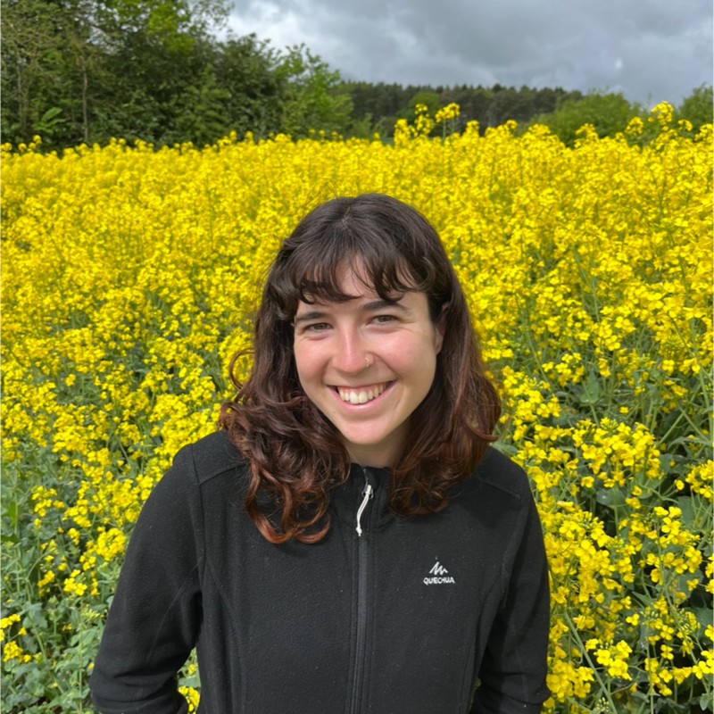 Isaura in a flower field