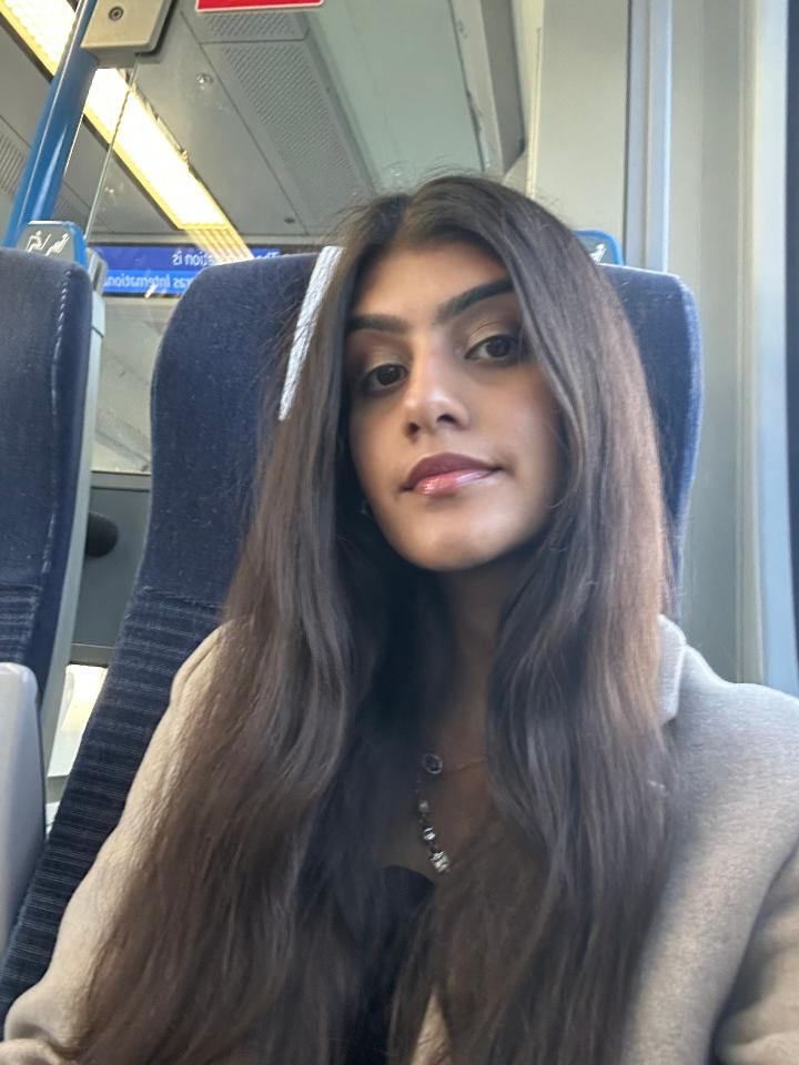 Laila's selfie on a train
