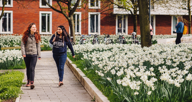 Image of two students walking through campus with daffodils growing in the grass