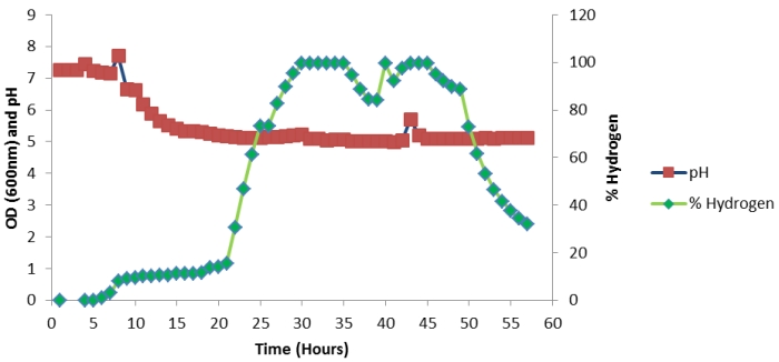 Figure 5: Continuous profile of % hydrogen and pH in 57 hours of batch fermentation (5 litres)