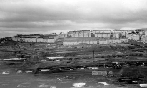 image_5_corporation_housing_at_drumchapel_january_1954.jpg