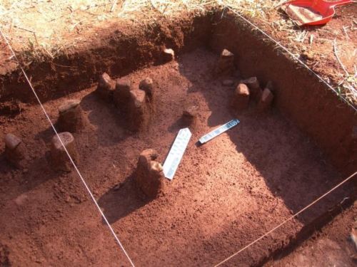 Figure 9: Upper anthropogenic levels of PM01. Stones of this character were encountered across the excavated area in the upper strata