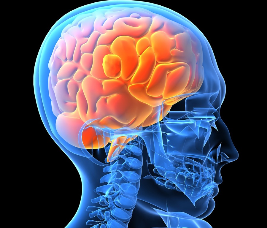 neurology.jpg