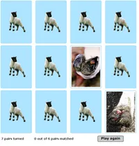 Foot lesions game screenshot
