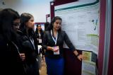 Poster/Exhibition C