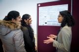 Poster/Exhibition C