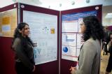 Poster/Exhibition C