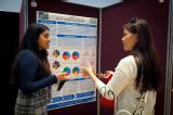 Poster/Exhibition C