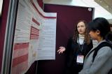 Poster/Exhibition C