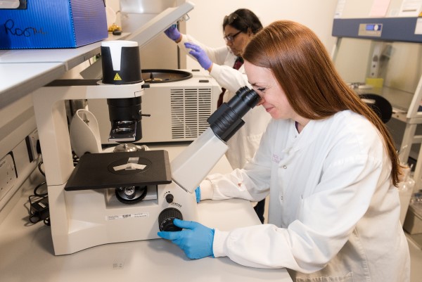 A researcher looking at a specimen under a microscope