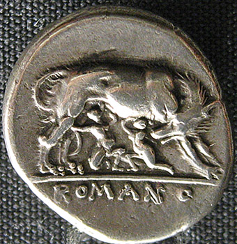 Lupa Coin