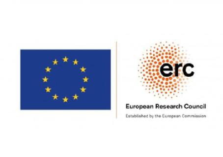 EU Logo 