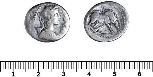 Coin with a picture of a boar