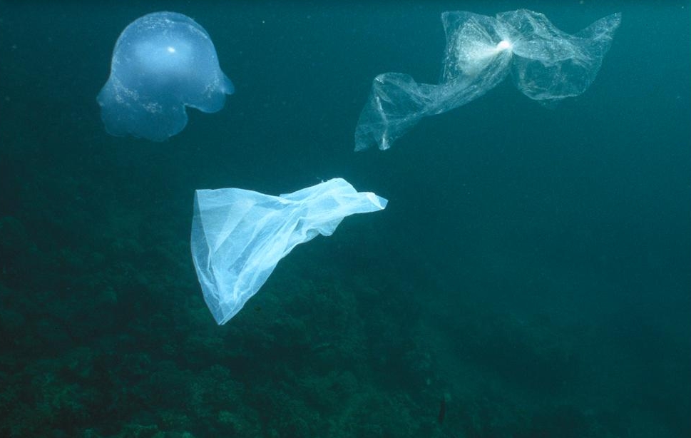 plastic jellyfish