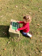 Toddler pointing at sign on a grassy lawn