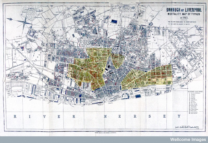 Mortality map of typhus in Liverpool 1865