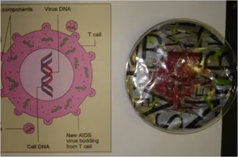 SHAW at Westwood School 4