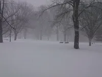 snow at Yale