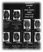 Medicine, Identity, Tech