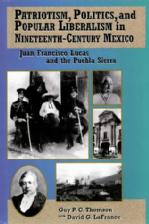 Patriotism, Politics and Popular Liberalism in Nineteenth-Century Mexico