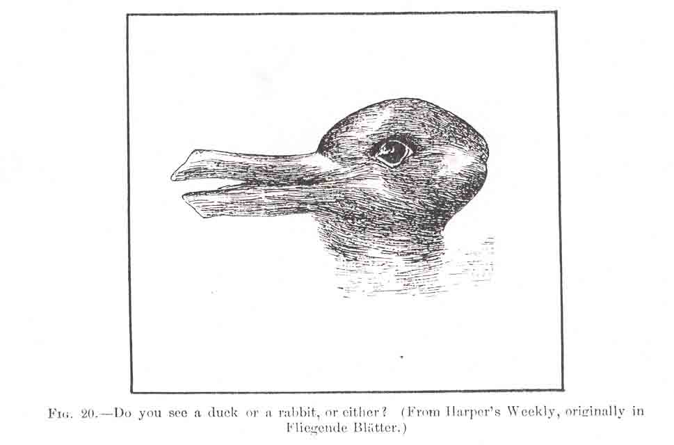 duck-rabbit_diagram.jpg