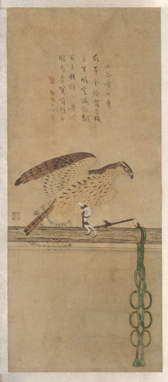 Japanese hawks