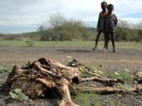 Famine - Ethiopia