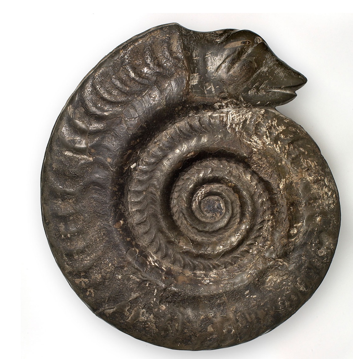 Snakestones