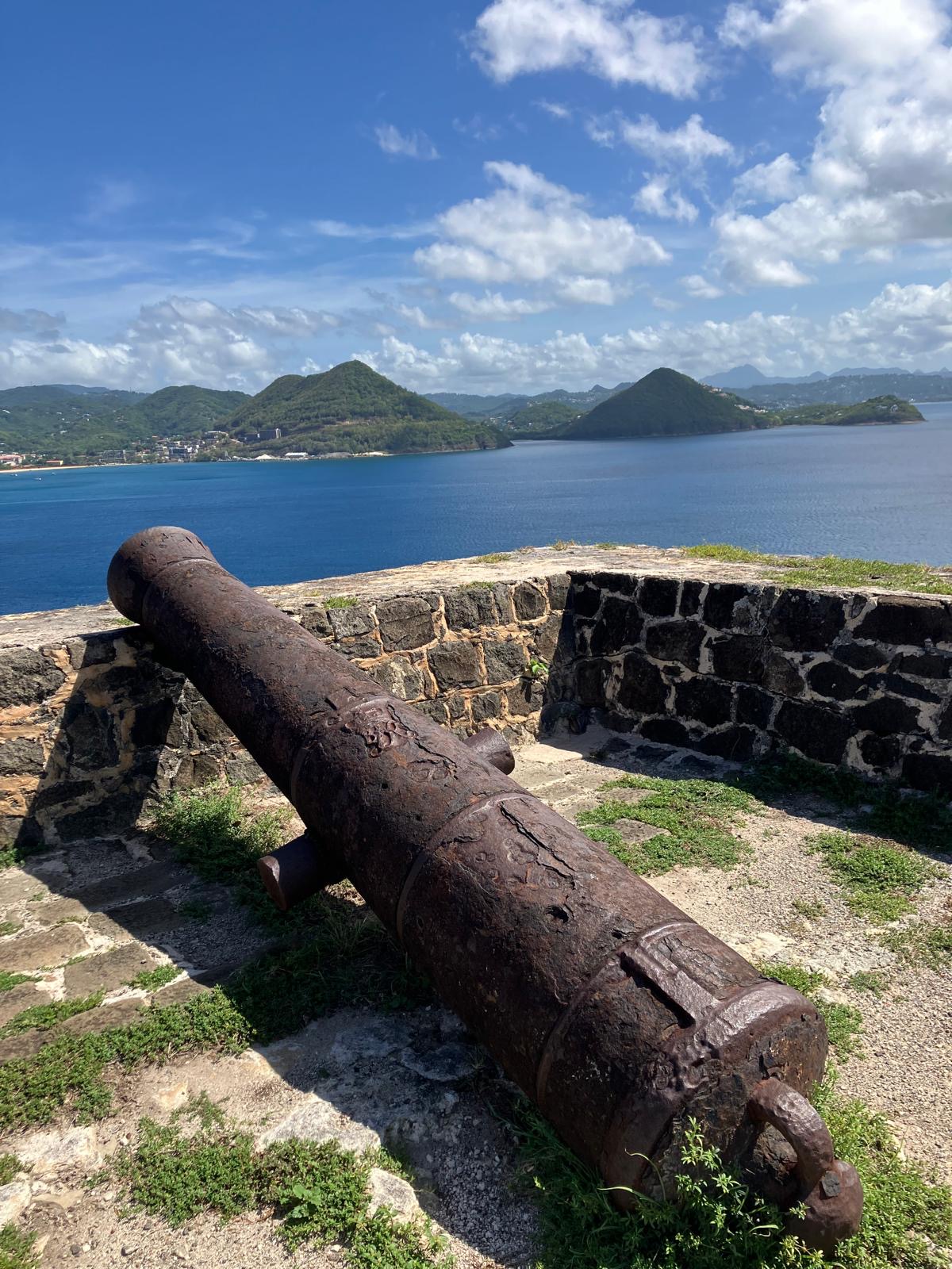 Fort Rodney cannon