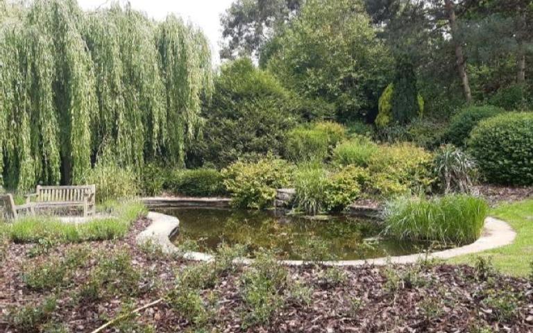 Contemplation Garden at University of Warwick