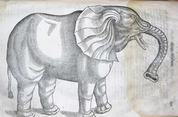 elephant2.jpg