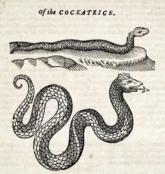 basalisk.jpg