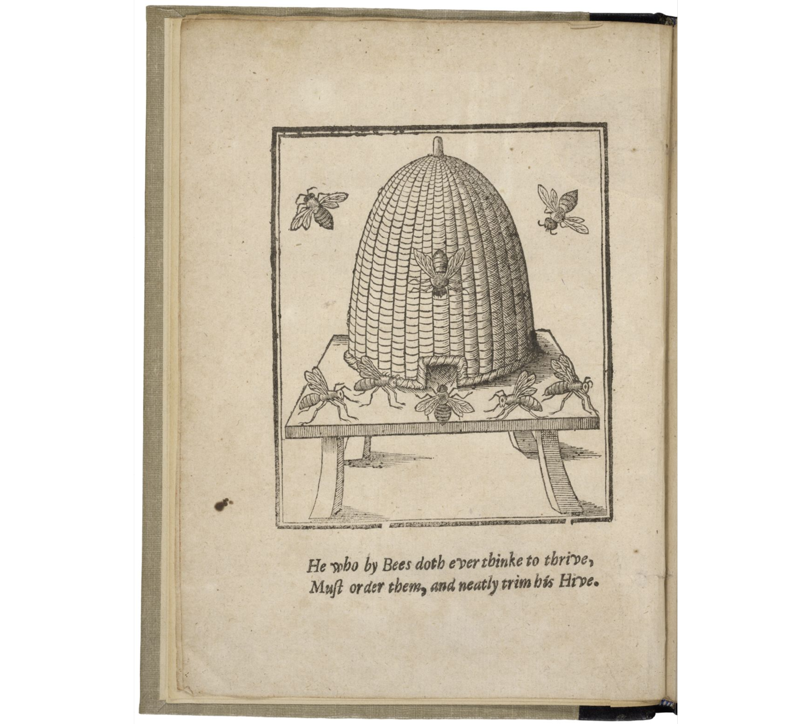 from John Levett, The ordering of the bees (1634), Folger Library, STC 15555