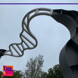Let’s not be Stupid, 1991. By Richard Deacon (Born 1949). Stainless steel, painted mild steel. University of Warwick Art Collection