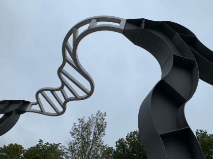 Let’s not be Stupid, 1991. By Richard Deacon (Born 1949). Stainless steel, painted mild steel. University of Warwick Art Collection