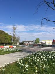 Campus during lockdown by Elena Ruikyte