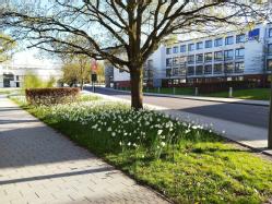 Campus during lockdown by Santiago Oyarzabal