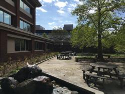 Campus during lockdown by Elena Ruikyte