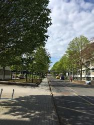 Campus during lockdown by Elena Ruikyte