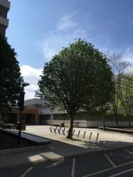 Campus during lockdown by Elena Ruikyte
