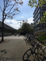 Campus during lockdown by Elena Ruikyte