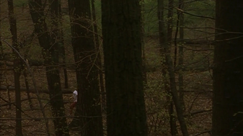 The camera looks down through the woods towards a young man in red trousers and a baggy white t-shirt, who strides purposefully through the woods.