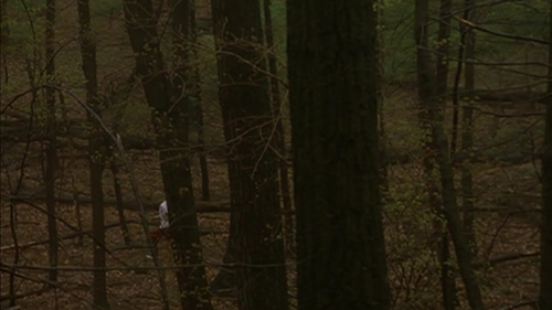 The camera looks down through the woods towards a young man in red trousers and a baggy white t-shirt, who strides purposefully through the woods.