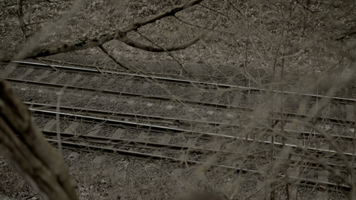 Looking down at railway tracks through leafless trees